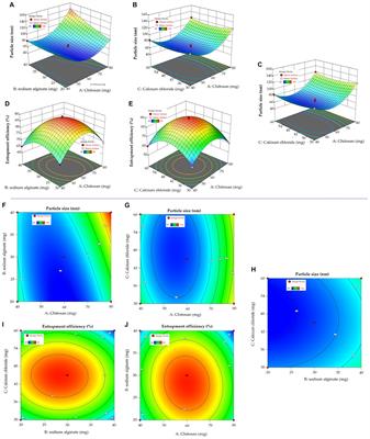 Enhanced drug delivery and wound healing potential of berberine-loaded chitosan–alginate nanocomposite gel: characterization and in vivo assessment